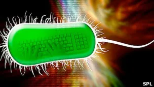 correos electronicos