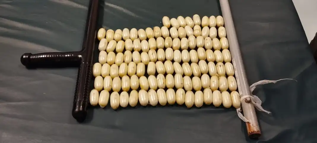 WhatsApp-Image-2024-07-24-at-9.11.11-AM-3